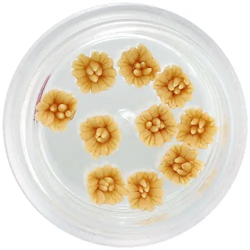 Akrylové kvietky - horčicovo žlté