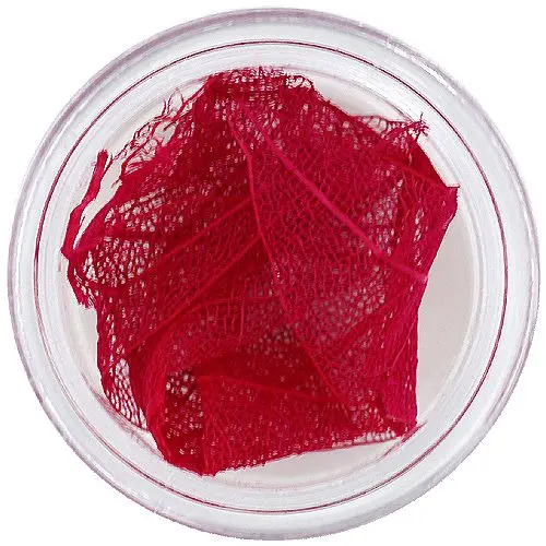 Bordové sušené lístky