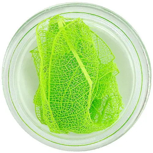 Svetlozelené sušené lístky