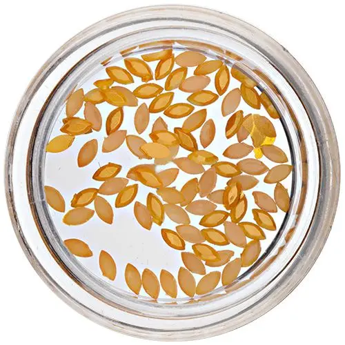 Ovály na zdobenie nechtov - oranžovo-žlté, perleť